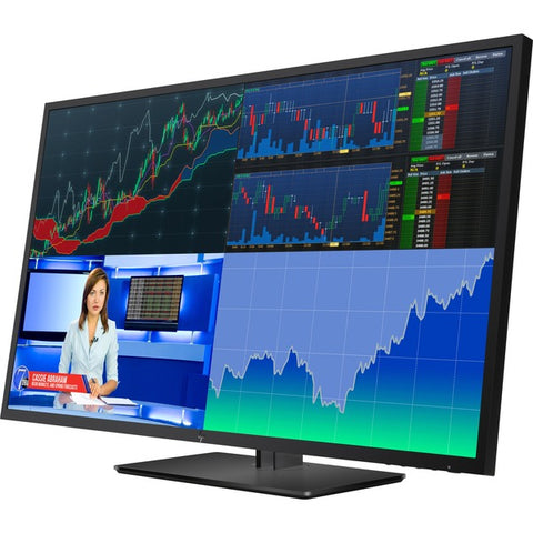 HP Inc. HP Business Z43 42.5" WLED LCD Monitor - 16:9 - 5 ms