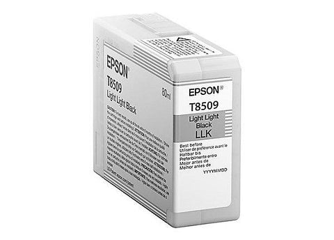 Epson Light Light Black UltraChrome HD Ink Cartridge (80ml)